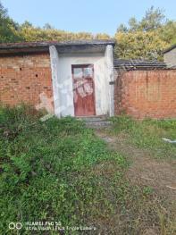 信阳新县 159平米 农家庭院 使用权出租