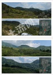 绵阳平武县 2137亩 有林地 经营权转让