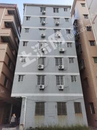 廣州白云區(qū) 115平方米 農(nóng)村宅基地 使用權(quán)合作