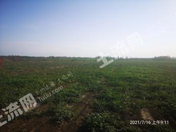 新疆克拉玛依 2000亩 水浇地 经营权出租