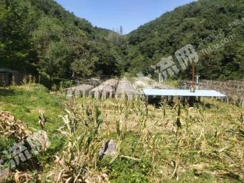 襄阳市保康县 10亩 水浇地 经营权转让