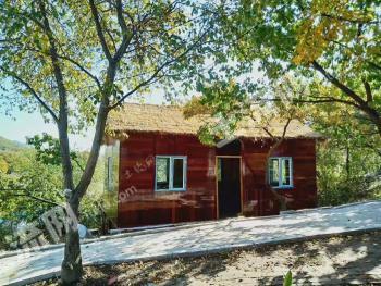 吉林船营区10.46亩园地-果园经营权转让