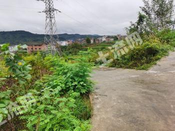 达州达川区 200亩 综合养殖用地 经营权出租