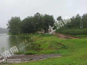 淮安盱眙县 400亩 其它林地 经营权转让