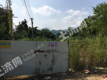 揭阳普宁市2.25亩林地转租-其它林地经营权转让