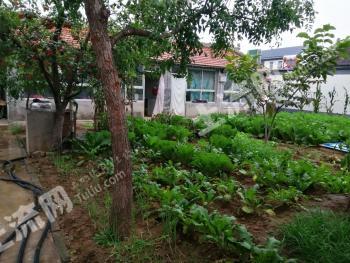 北京延庆区500平米宅基地使用权出租，可建二层，年限可商量。价钱也可以商量