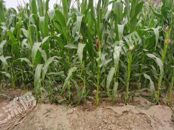 河北保定 1200平米 综合用地 流转