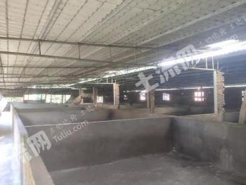 郴州苏仙区 60亩 农场 使用权出租