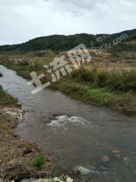 大连庄河市城山镇300亩林地经营权转让