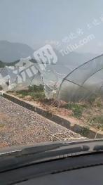 邵阳洞口县 130亩 旱地 经营权出租