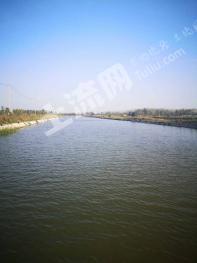 南京浦口区 330亩 坑塘水面 经营权转让