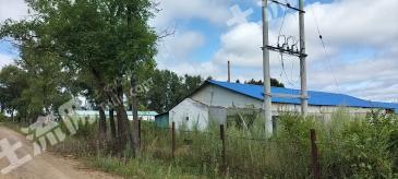 鸡西鸡冠区 40亩 畜牧养殖用地 经营权转让