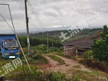 云浮罗定市 320亩 灌木林地 经营权转包