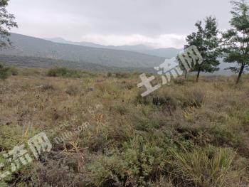 吕梁石楼县 3000亩 有林地 经营权转让