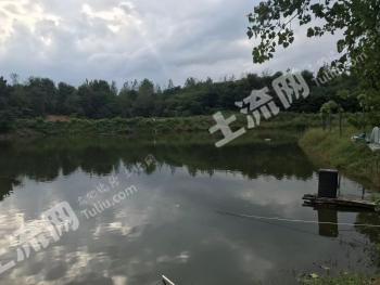 随州曾都区 99900平方米 度假山庄 使用权转让