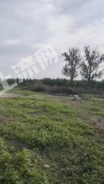 保定涿州市900平米宅基地使用權(quán)出租