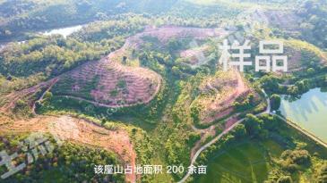 吉安万安县 300亩 综合养殖用地 经营权转让