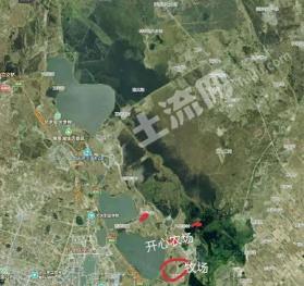 绥化安达市 20亩 农场 经营权出租