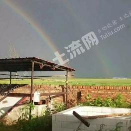 绥化安达市 110亩 农场 经营权转让