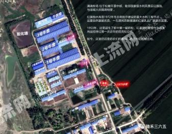 绥化安达市 110亩 畜牧养殖用地 经营权转让