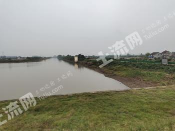荆州荆州区150亩坑塘经营权出租