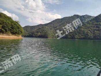 黄山黄山区 600平米 度假山庄 使用权出租