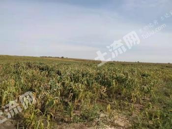 通化通化县 30000亩 水浇地 出租