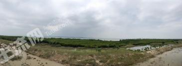 海南文昌市 297亩 水浇地 经营权转让