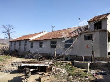 烟台蓬莱市40亩畜牧养殖用地经营权转让