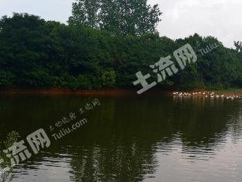 湖南岳陽(yáng) 120000平米 度假山莊 流轉(zhuǎn)