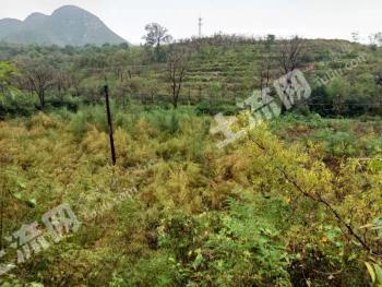 保定满城区 4.5亩 其它耕地 经营权转让