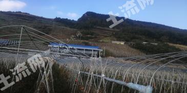 宜昌长阳土家族自治县 80亩 旱地 经营权出租/转让