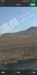 通辽霍林郭勒市 4300亩 水浇地 经营权转让