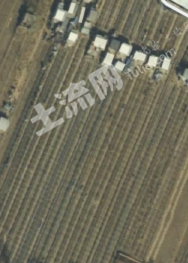 葫芦岛连山区 5亩 果园 经营权出租