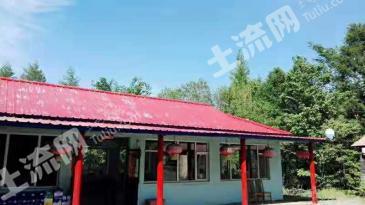 通化柳河县 400亩 有林地 经营权转让