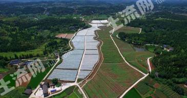 南充嘉陵区 150亩 果园 经营权出租