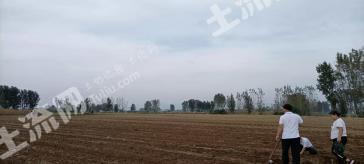 河南平顶山 30亩 水浇地 经营权转包