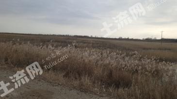 松原长岭县1800亩旱地经营权出租