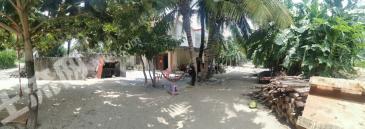 三亞天涯區(qū)533平米宅基地使用權(quán)出租