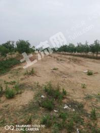 邯郸大名县 2亩畜牧养殖用地 经营权出租