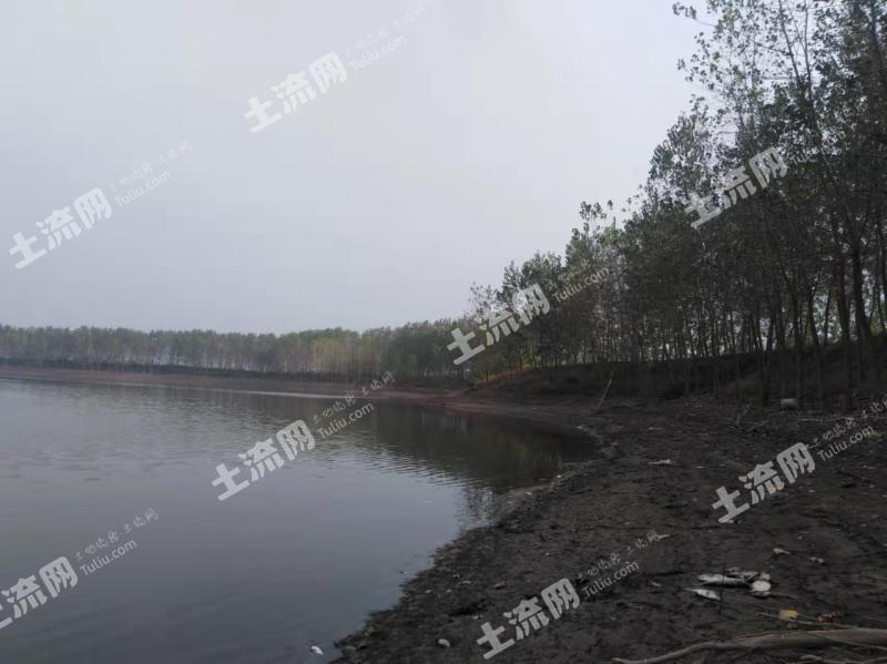 荆州公安县 320亩 坑塘水面 经营权出租