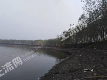 荆州公安县 320亩 坑塘水面 经营权出租