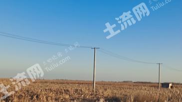 松原长岭县2100亩旱地经营权出租