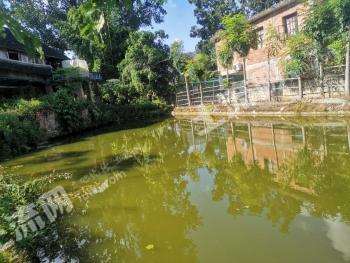 西雙版納景洪市999平方米農(nóng)村宅基地使用權(quán)合作