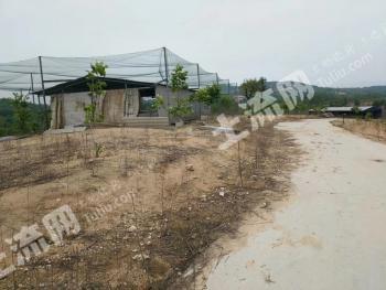 南阳卧龙区100亩综合养殖用地经营权转让