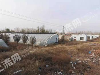 朝阳建平县100亩大棚经营权转让