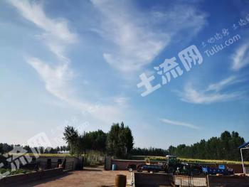 通辽开鲁县 13亩 人工牧草地 经营权出租
