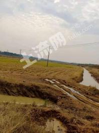 安庆望江县320亩水田经营权出租