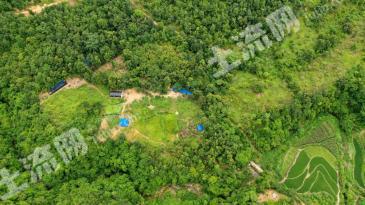 黔西南望谟县 20亩 农场 经营权转包