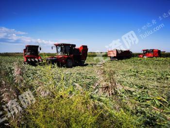 巴彦淖尔磴口县5000亩水浇地经营权转让